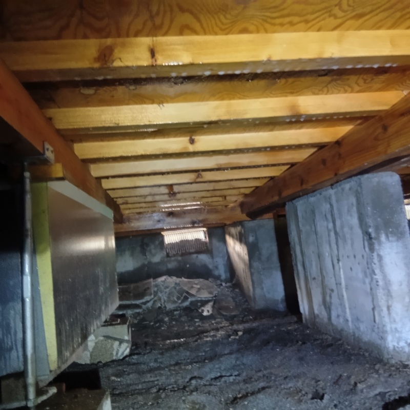 地面・基礎にシロアリ駆除剤を散布した様子