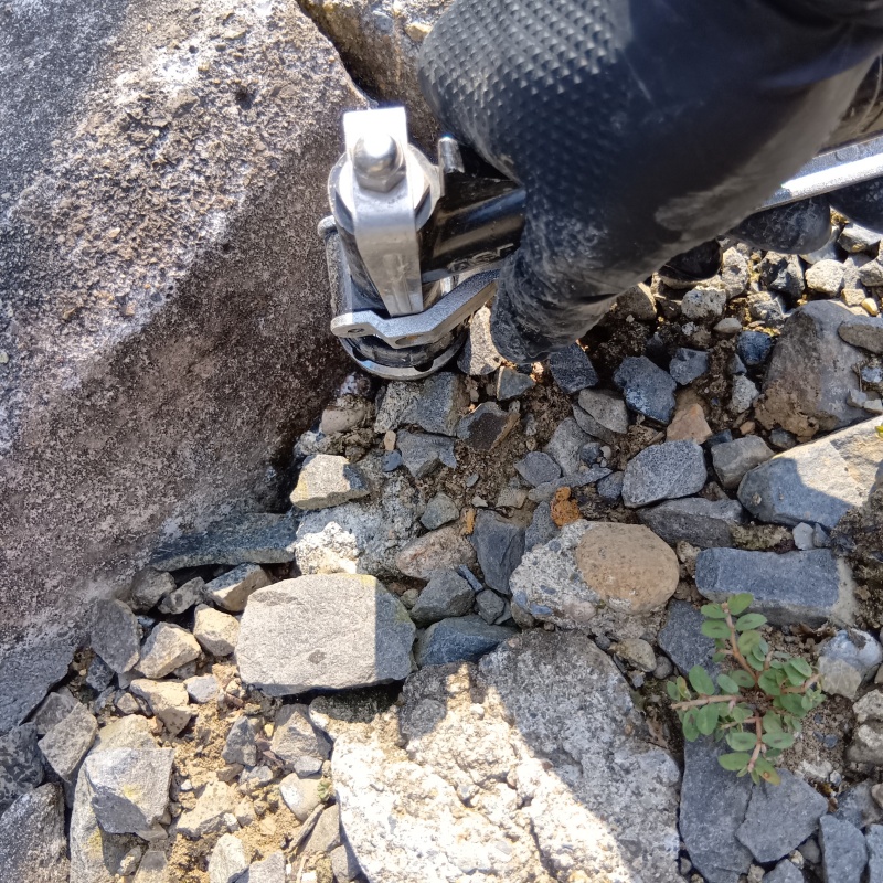 建物外周の土壌にシロアリ駆除剤を散布