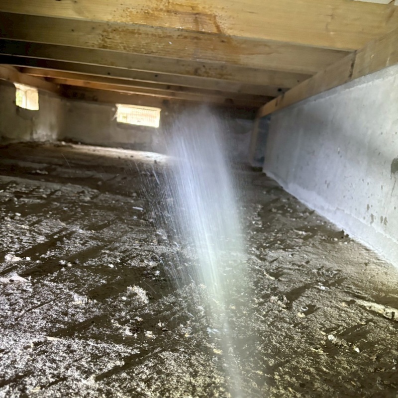 床下木材に防蟻剤を散布