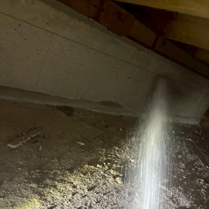 基礎に防蟻剤を散布