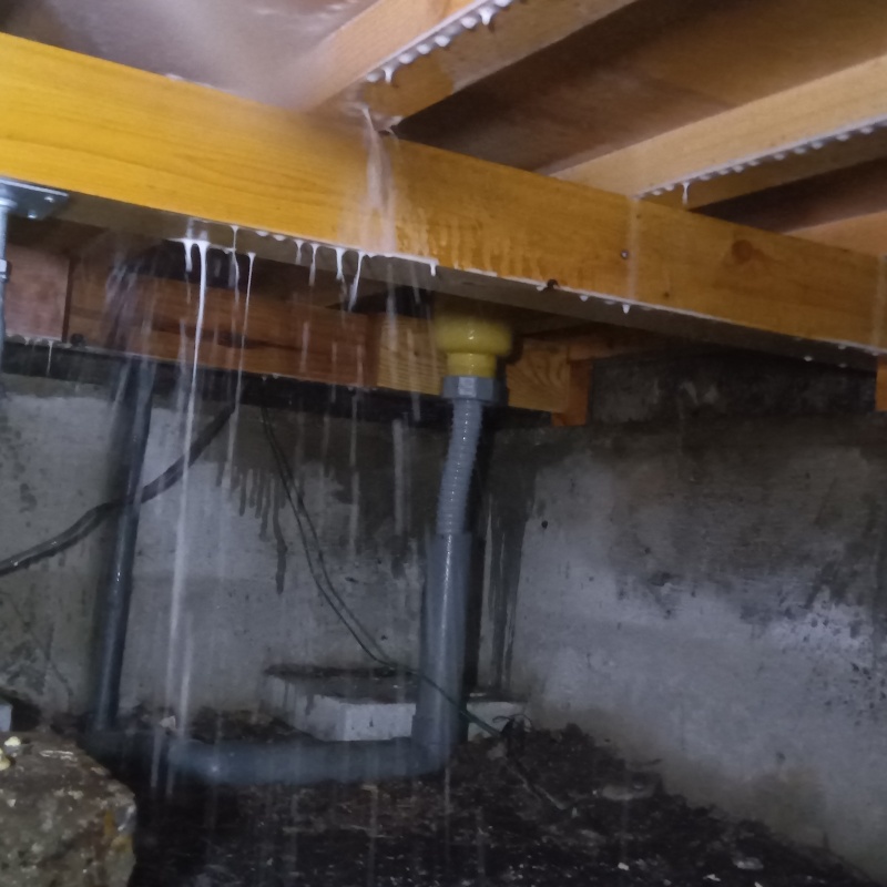 木部処理が完了した様子