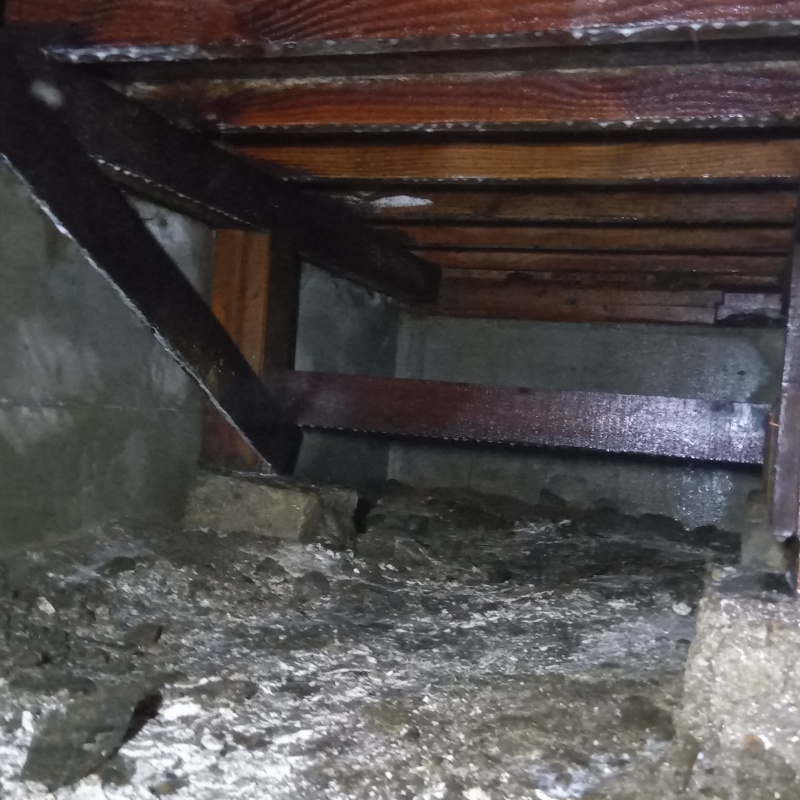 土壌処理が完了した様子