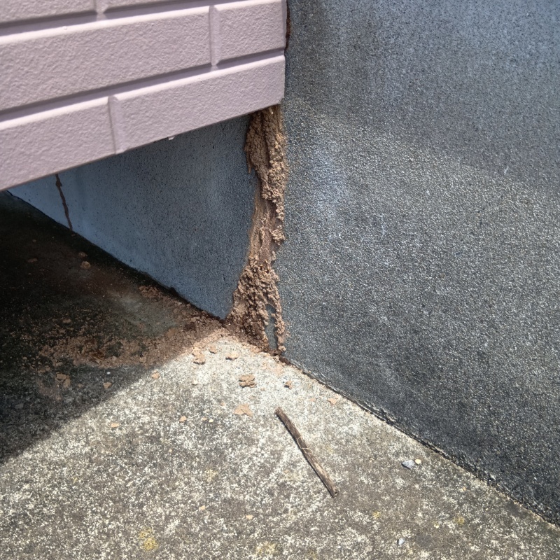 シロアリ駆除の施工事例（宮崎県児湯郡都農町）