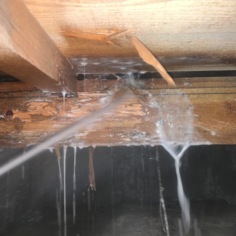 床下の木材にシロアリ駆除剤を散布