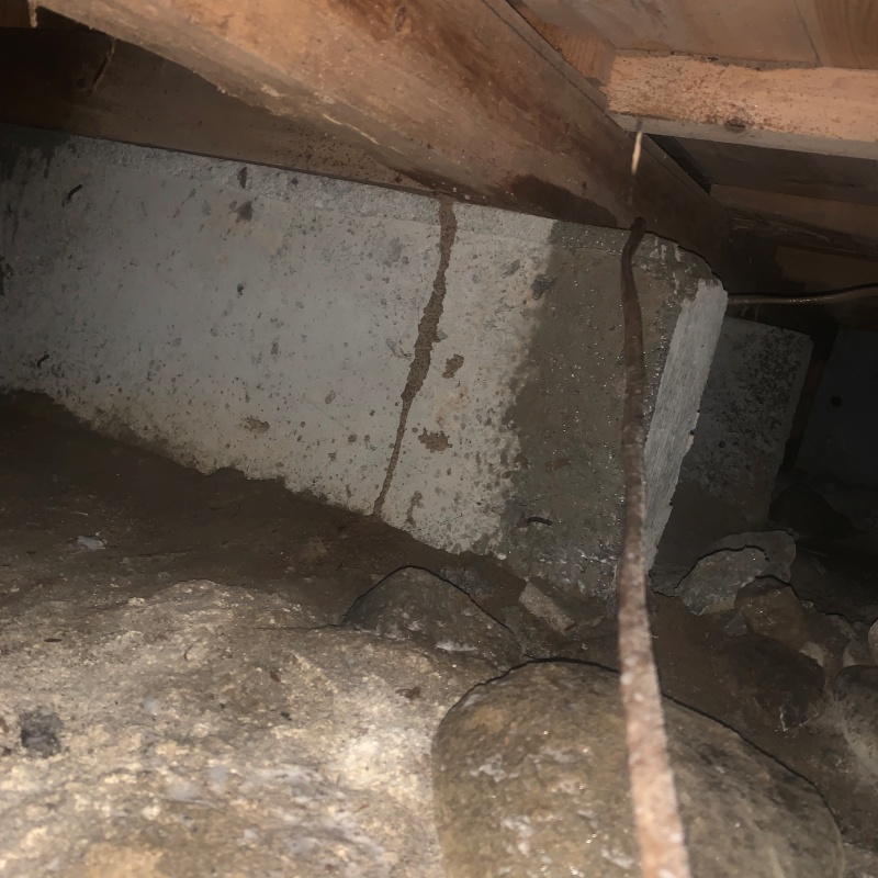 土壌処理が完了した様子