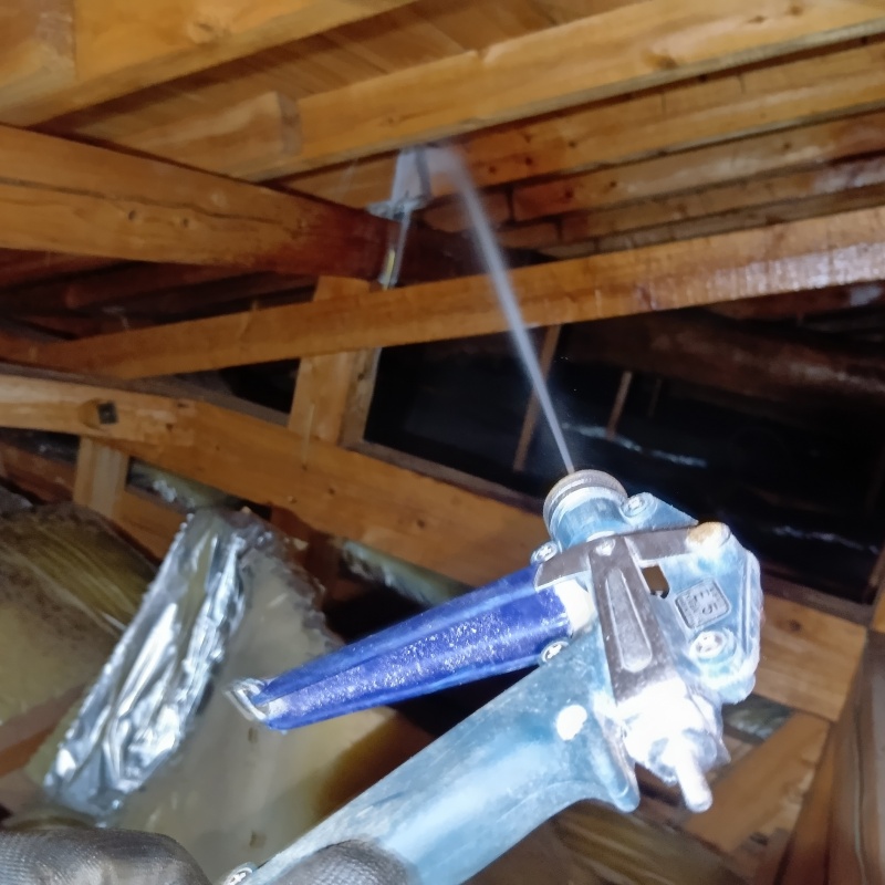 屋根裏にシロアリ駆除剤を散布