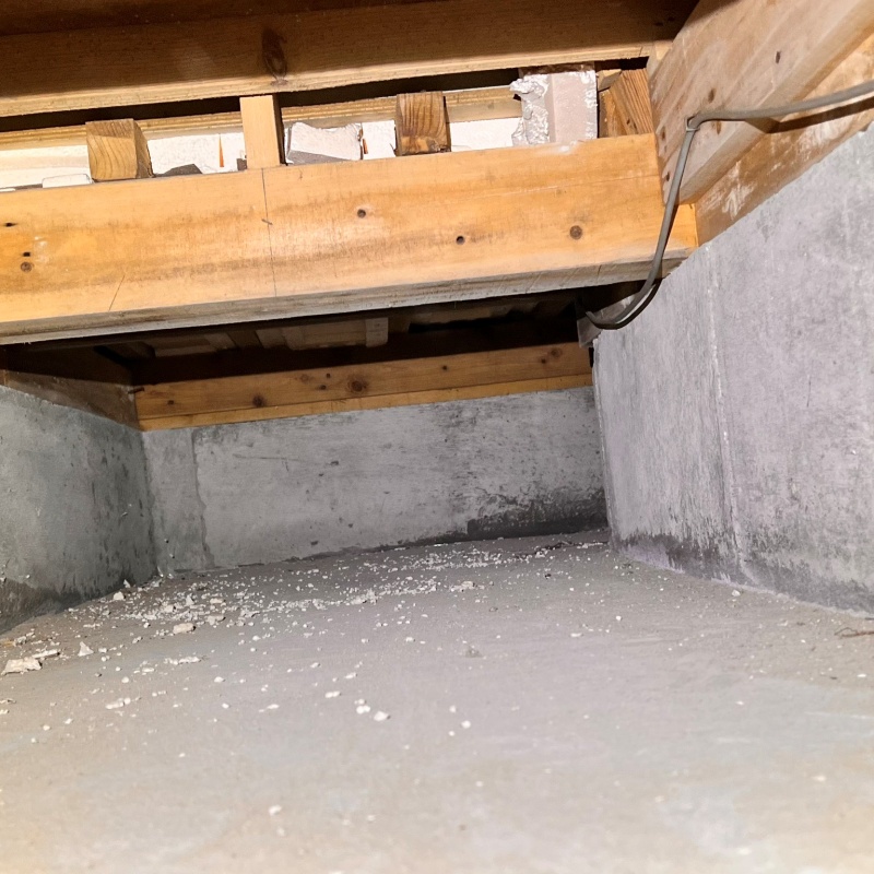 土壌処理が完了した様子