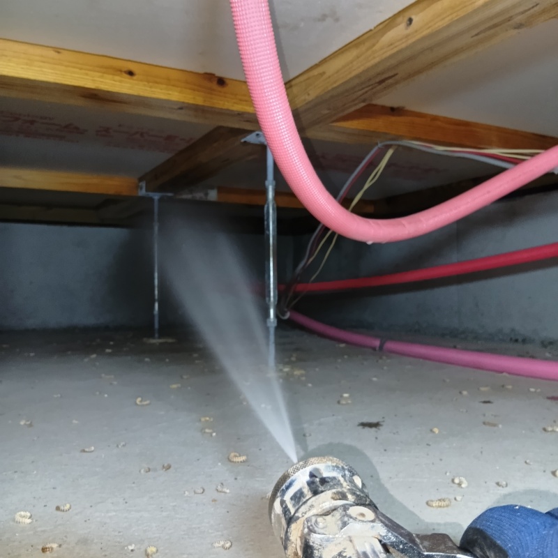 床下の木材にシロアリ駆除剤を散布