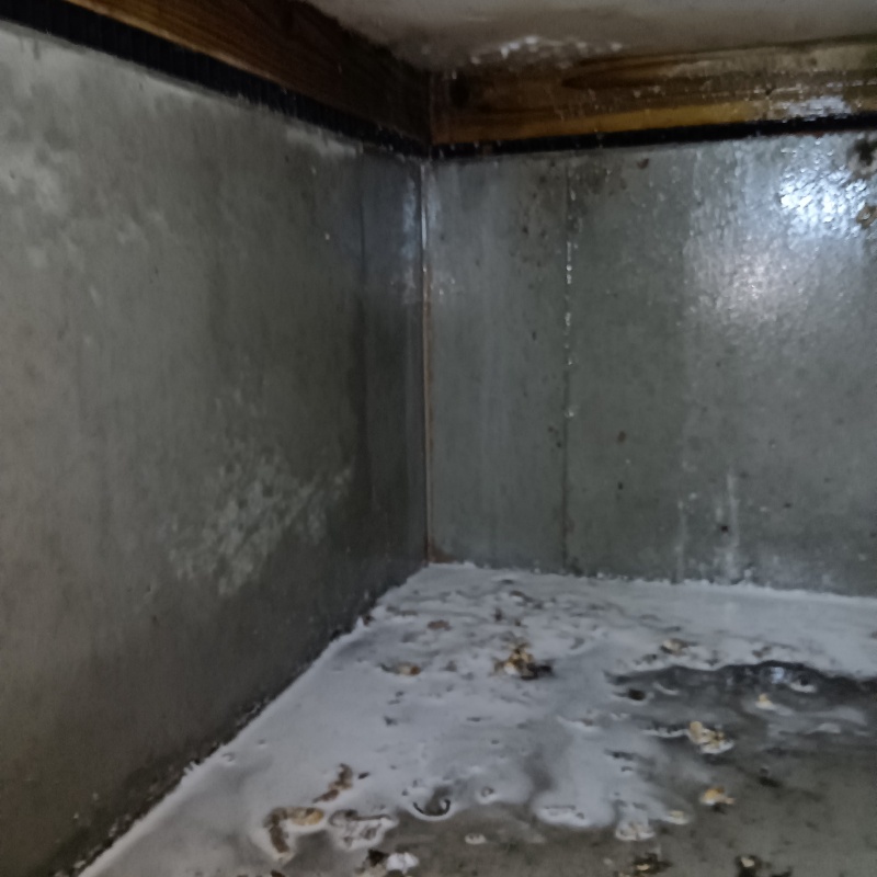 土壌処理が完了した様子