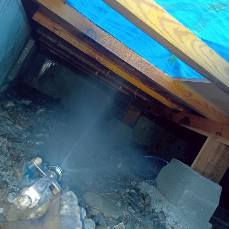 床下の木材にシロアリ駆除剤を散布