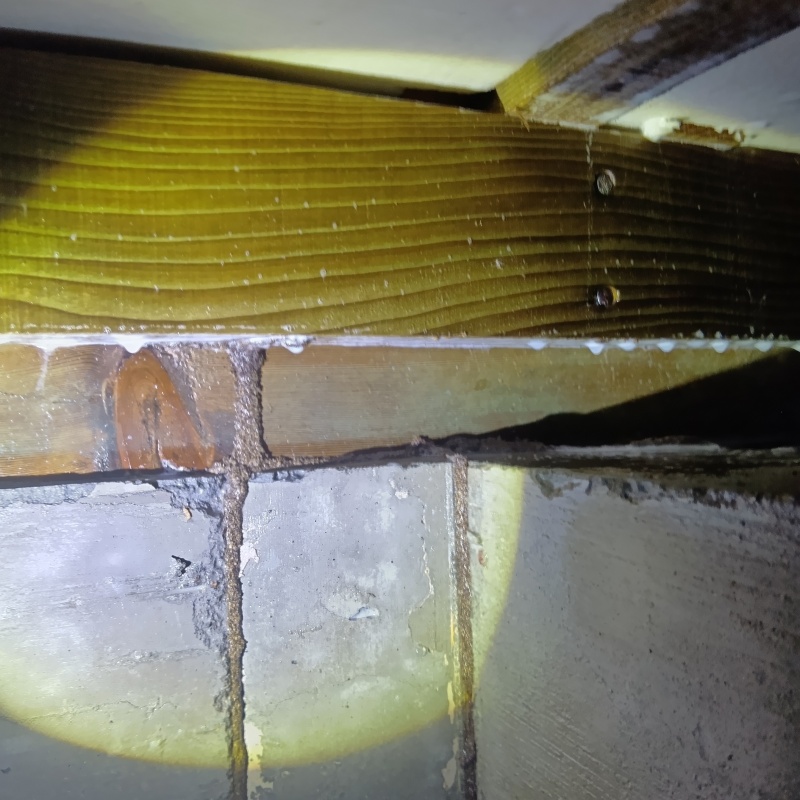 築年数33年のシロアリ駆除の施工事例（宮城県大崎市）