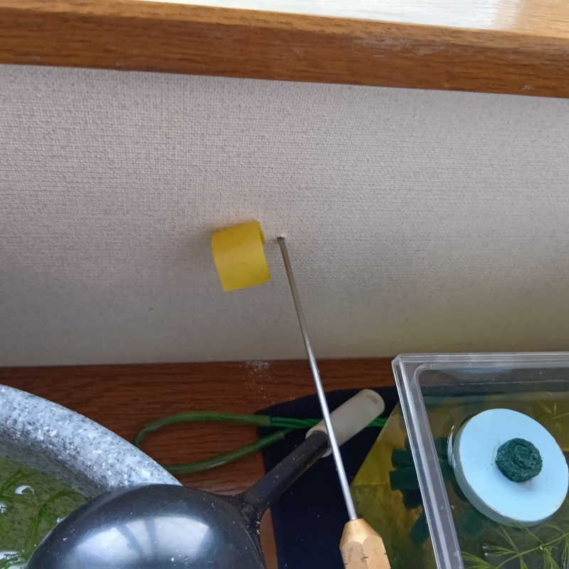 壁にシロアリ駆除剤を注入