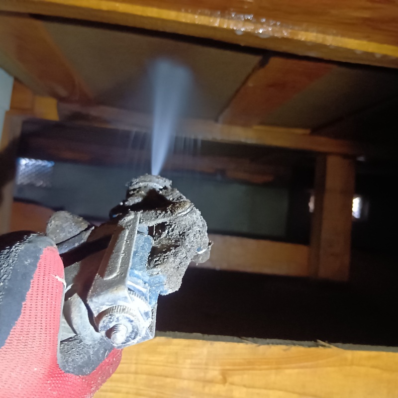 床下の木材にシロアリ駆除剤を散布