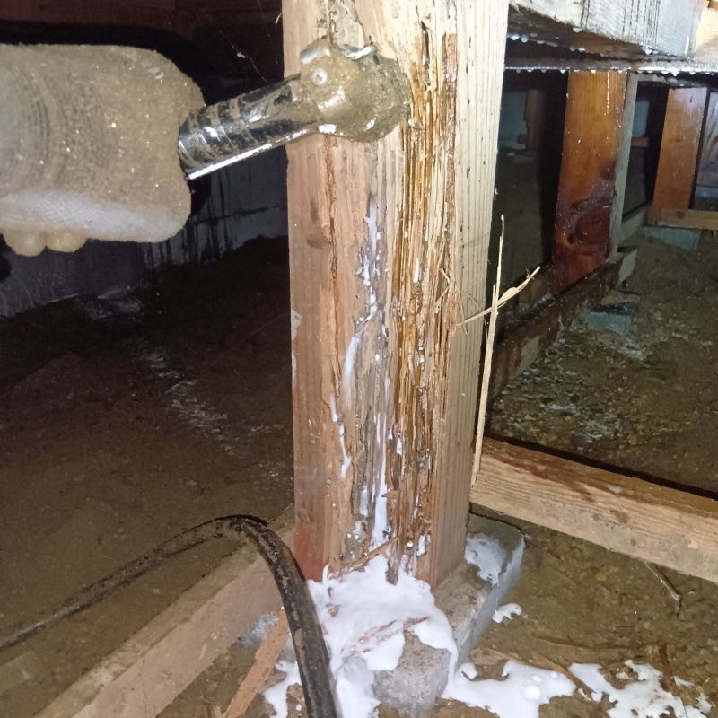 食害を受けた柱にシロアリ駆除剤を注入