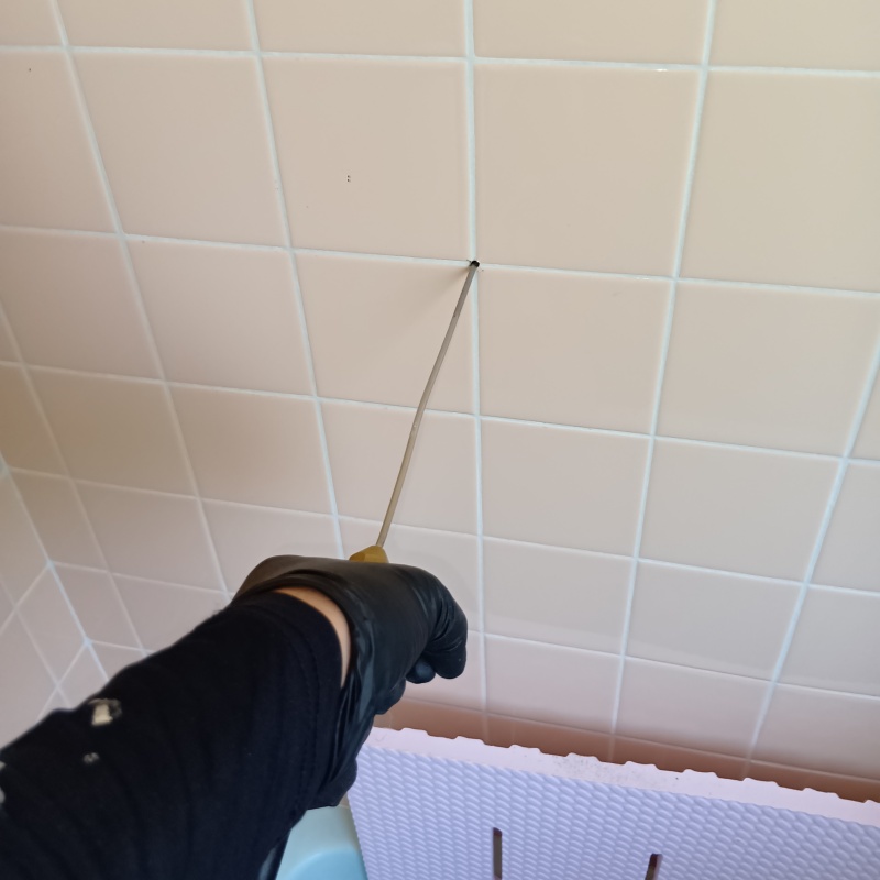 築年数59年のシロアリ駆除の施工事例（長野県松本市惣社）