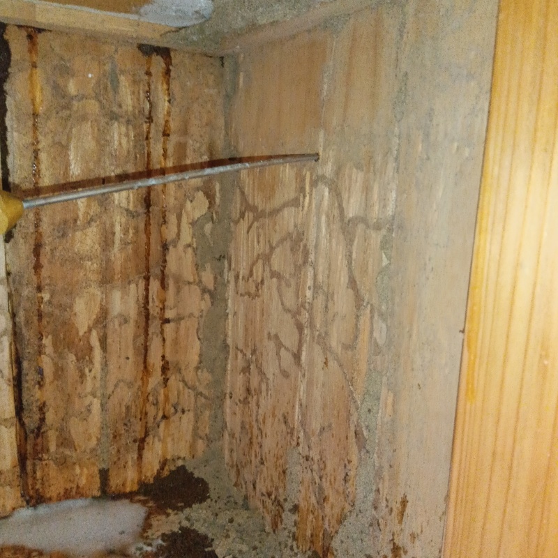 築年数23年のシロアリ駆除の施工事例（新潟県長岡市稲保）
