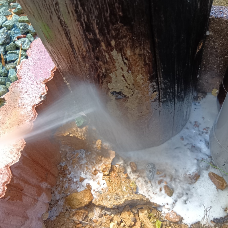 屋外の柱にシロアリ駆除剤を散布