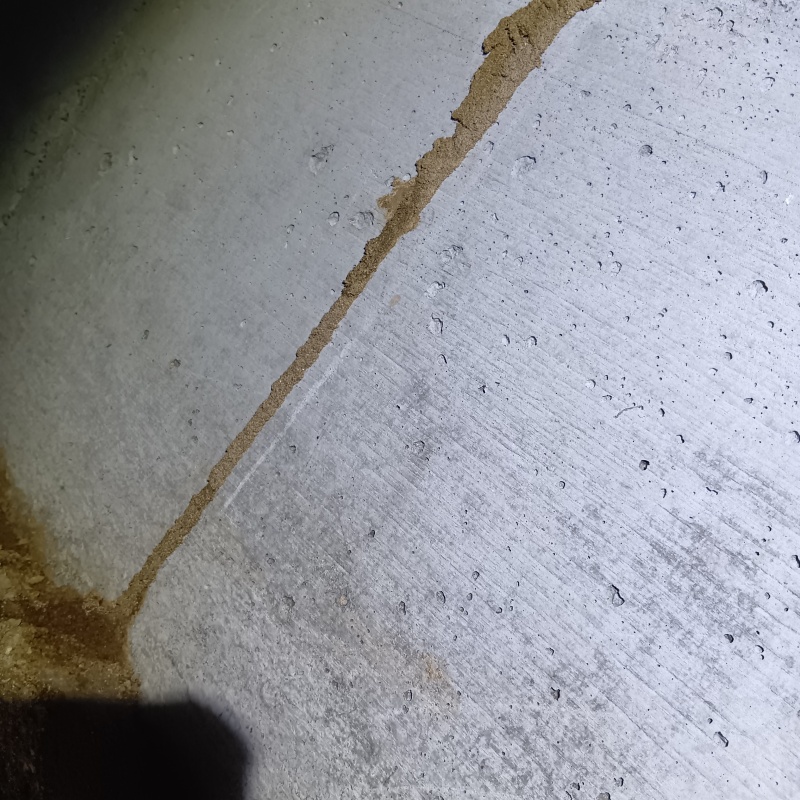 築年数50年のシロアリ駆除の施工事例（福井県福井市経田）