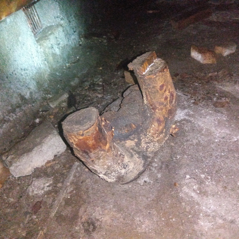 シロアリ駆除の施工事例（東京都新宿区）