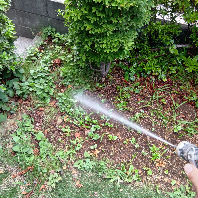 屋外の地面にシロアリ駆除剤を散布
