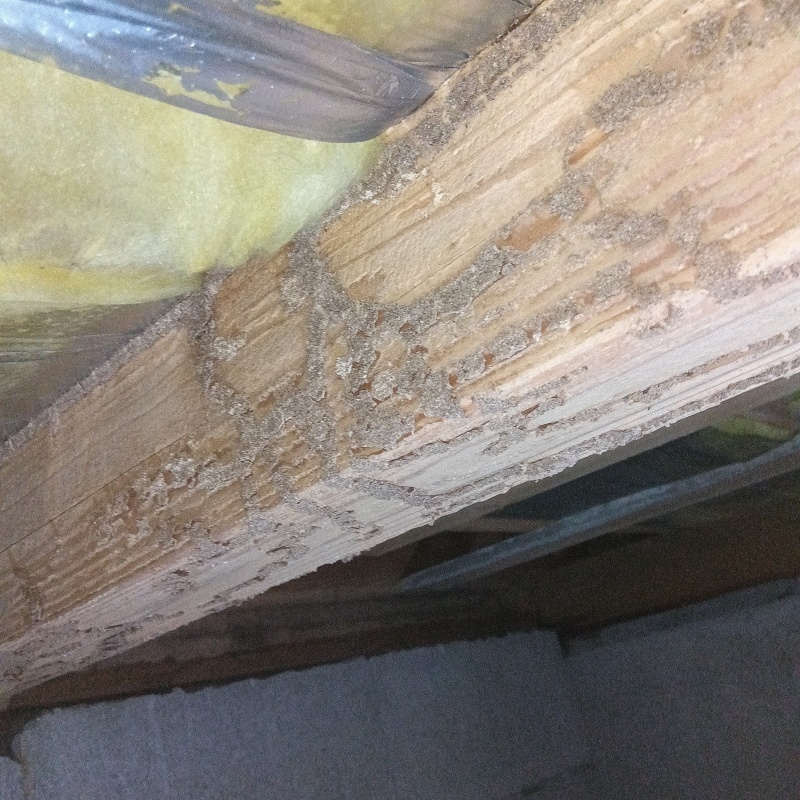 築年数30年のシロアリ駆除の施工事例（長崎県西彼杵郡時津町左底郷）