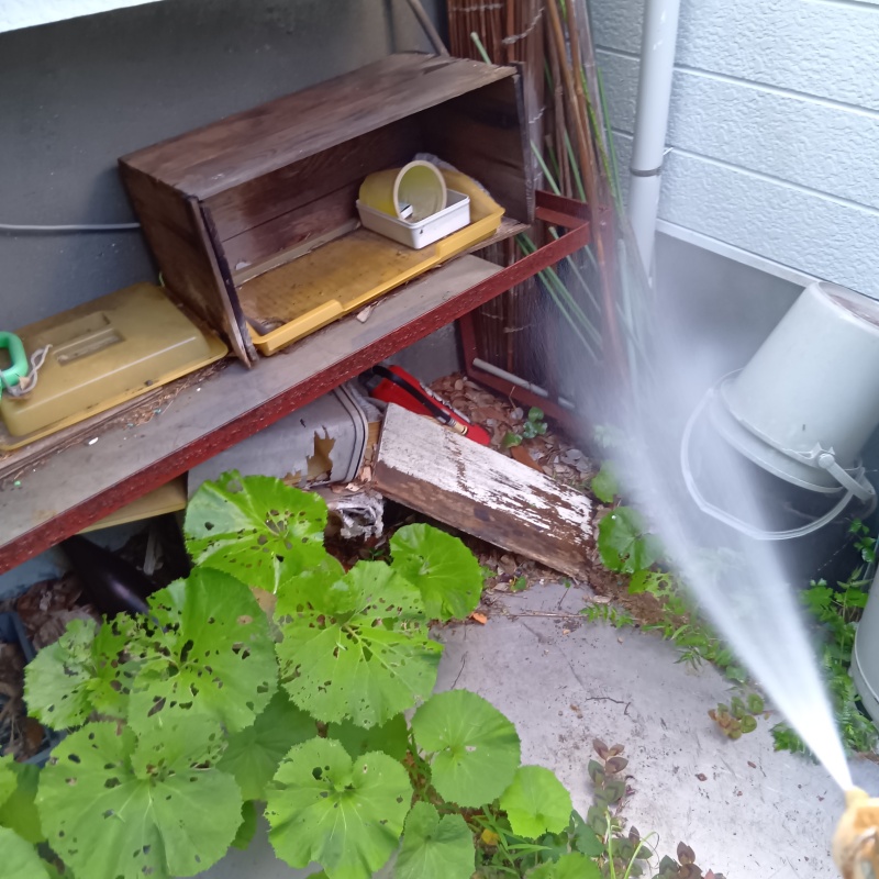 シロアリ駆除の施工事例（静岡県伊東市宇佐美）