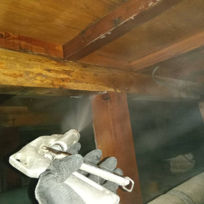 床下の木材にシロアリ駆除剤を散布