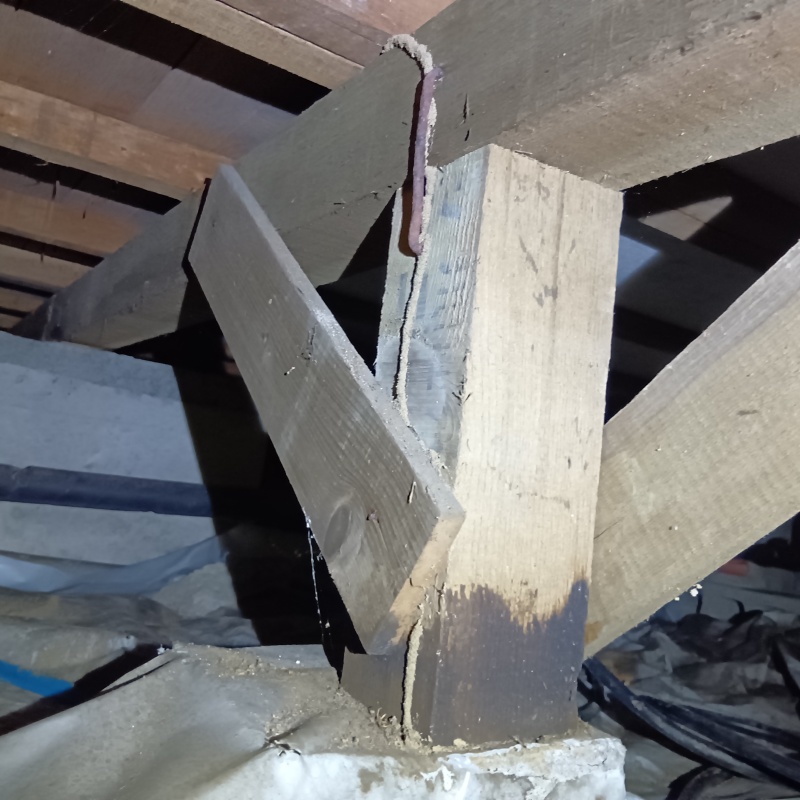 築年数45年のシロアリ駆除の施工事例（茨城県水戸市平須町）