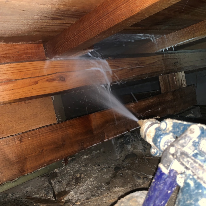 床下の木材にシロアリ駆除剤を散布