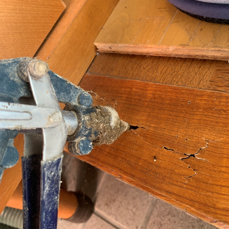 土間の木部にシロアリ駆除剤を注入