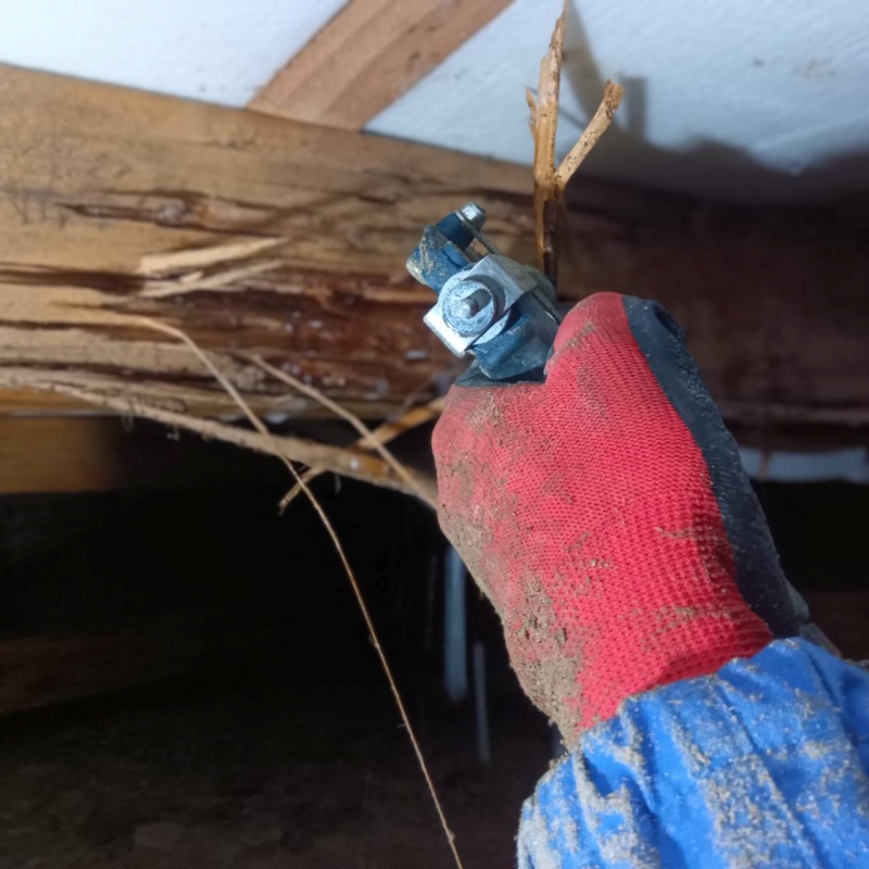 築年数30年のシロアリ駆除の施工事例（滋賀県大津市）