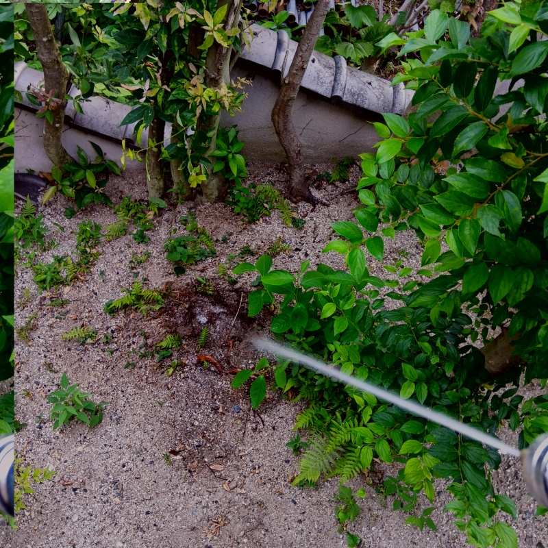 建物の外周にシロアリ駆除剤を散布