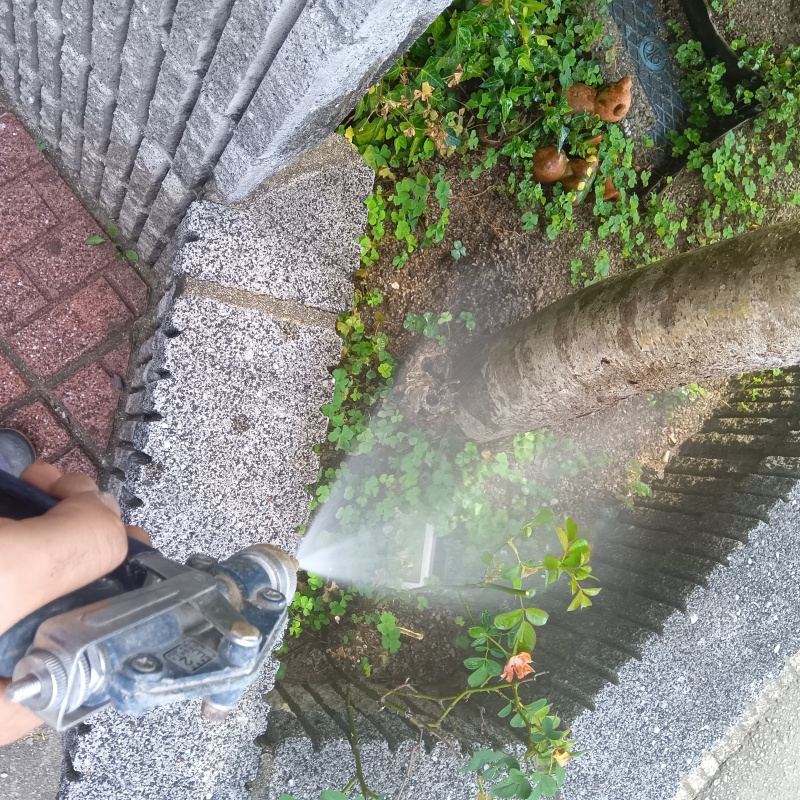 庭木に防蟻剤を散布