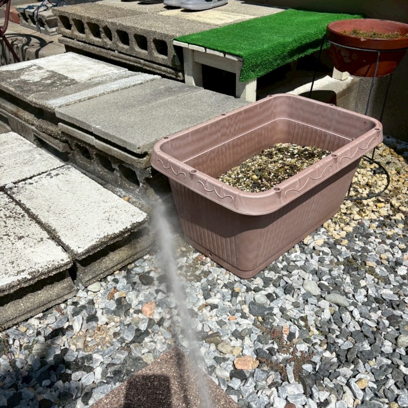 屋外の地面に防蟻剤を散布