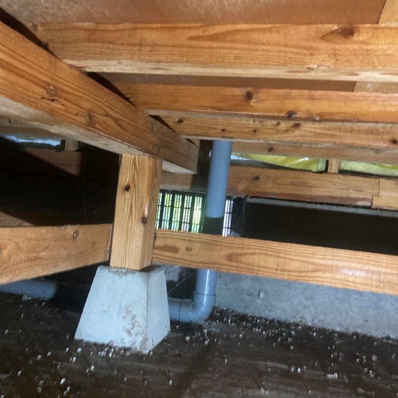 土壌処理が完了した様子