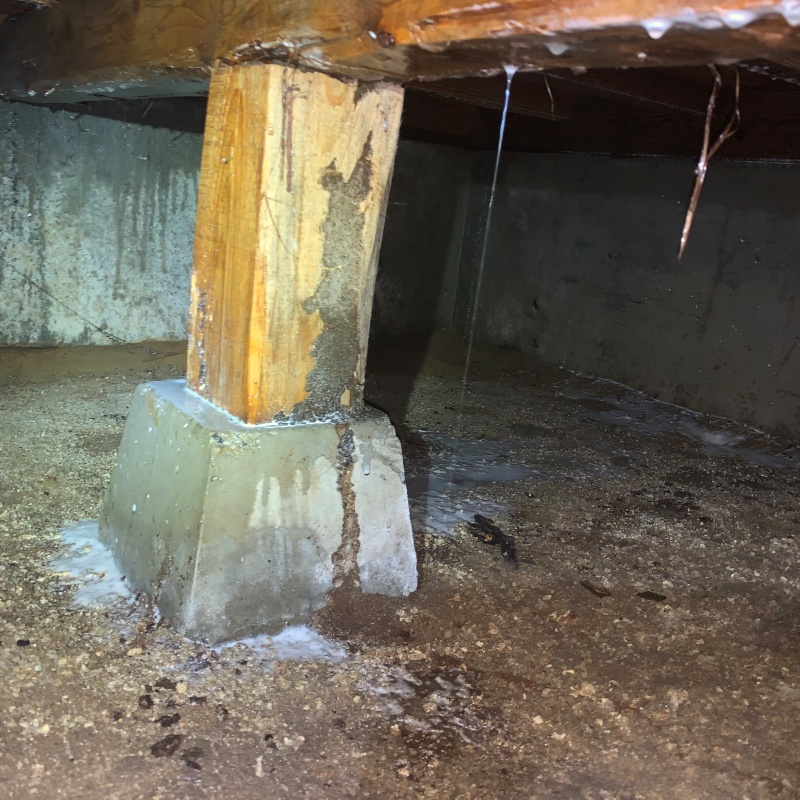 築年数40年のシロアリ駆除の施工事例（滋賀県近江八幡市田中江町）