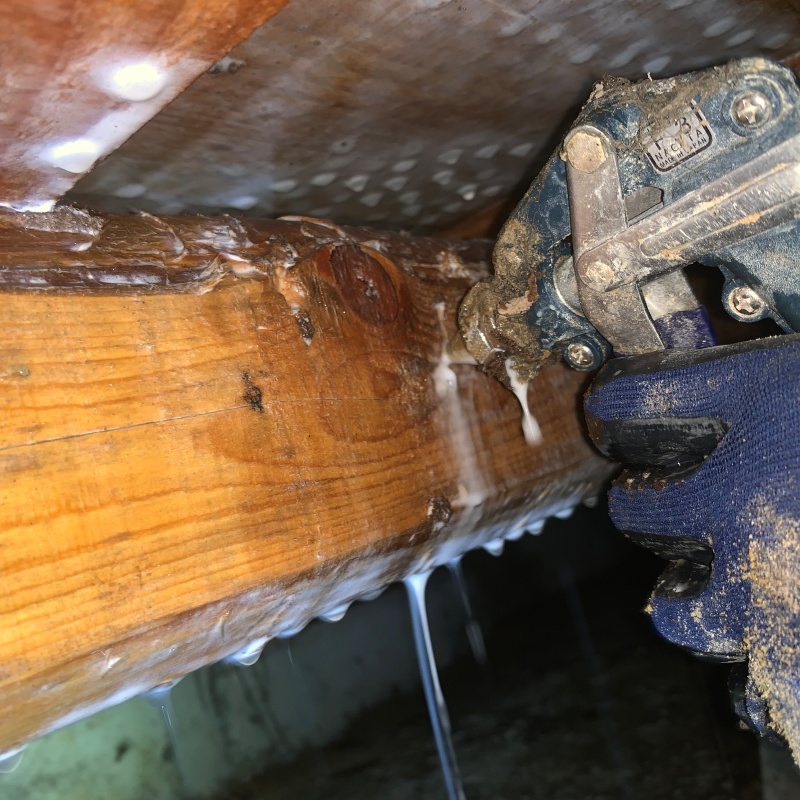 食害を受けた木材にシロアリ駆除剤を散布