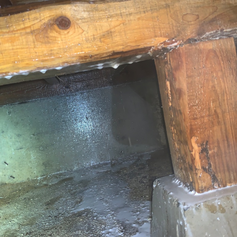 土壌処理が完了した様子