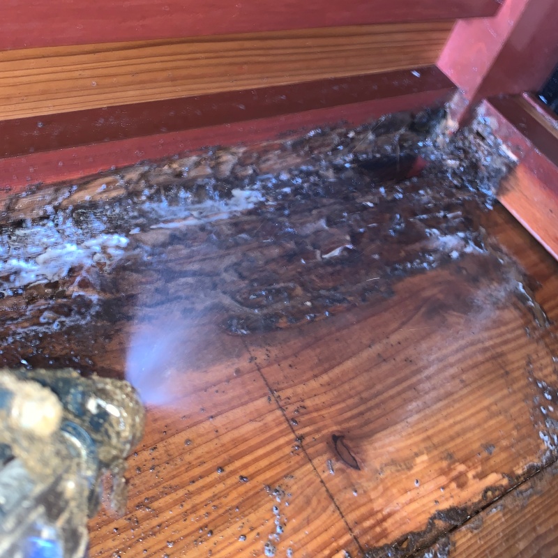 屋内の床にシロアリ駆除剤を散布