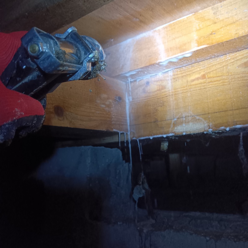 床下の木材にシロアリ駆除剤を散布