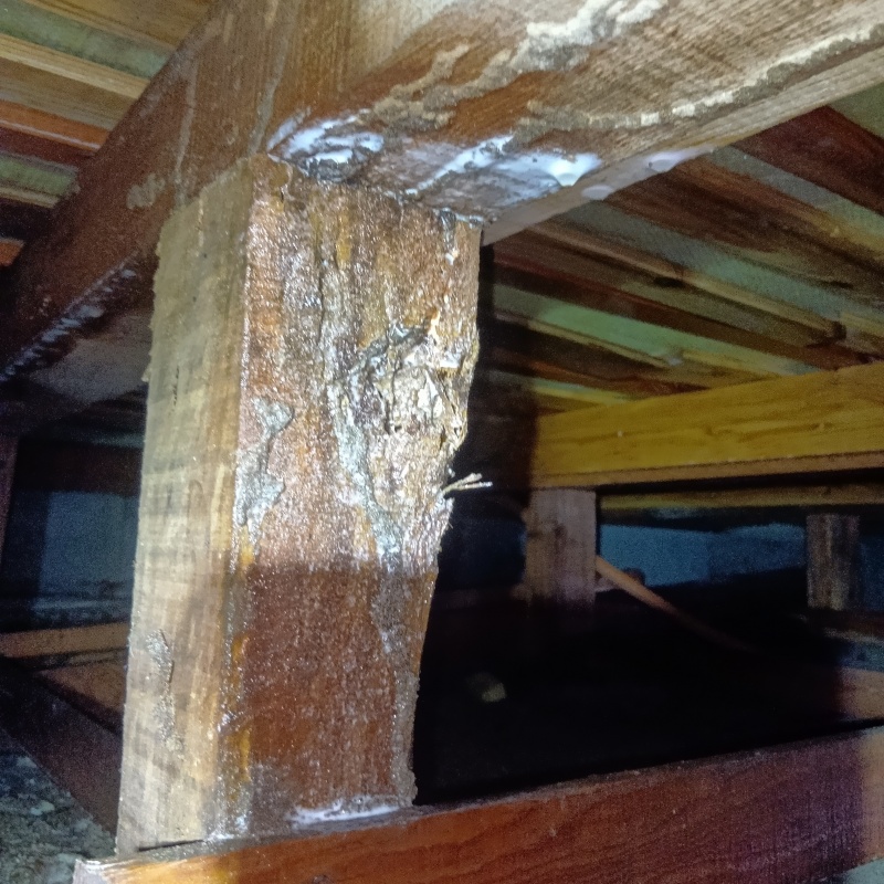 築年数40年のシロアリ駆除の施工事例（山形県山形市落合町）