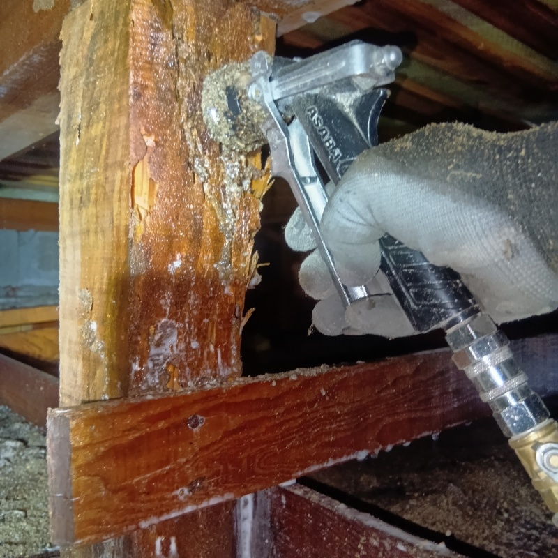 食害を受けた柱にシロアリ駆除剤を注入