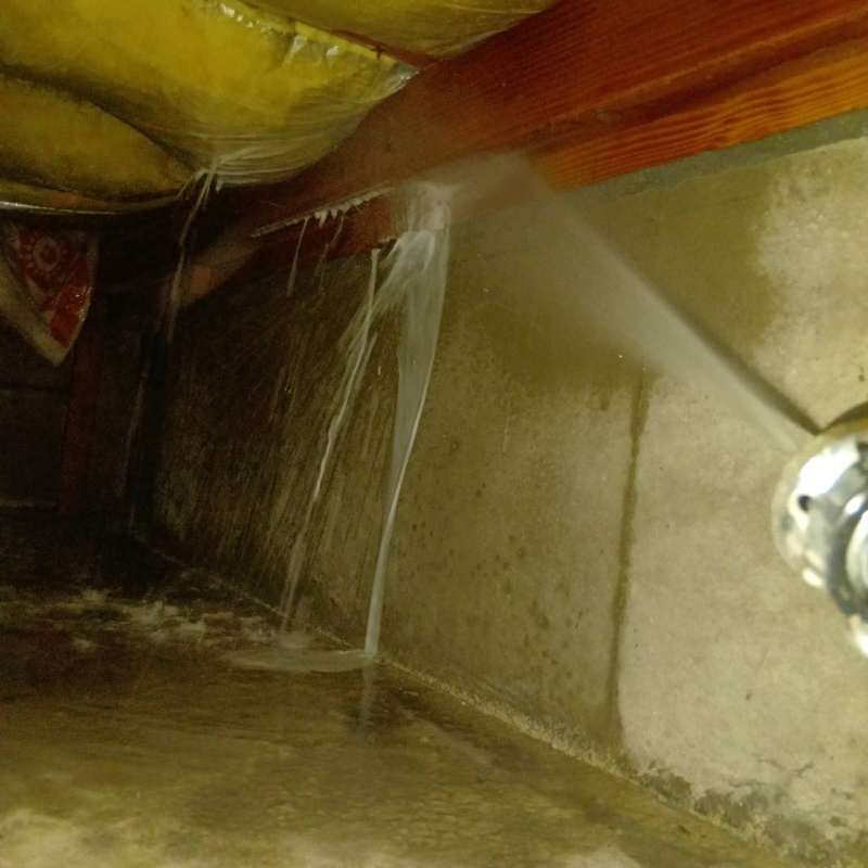 築年数29年のシロアリ駆除の施工事例（徳島県徳島市南島田町）