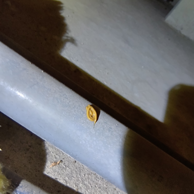 配管の上にベイト剤を設置