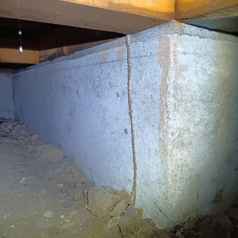 基礎部分に作られたシロアリの蟻道