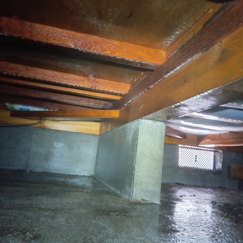 土壌処理が完了した様子