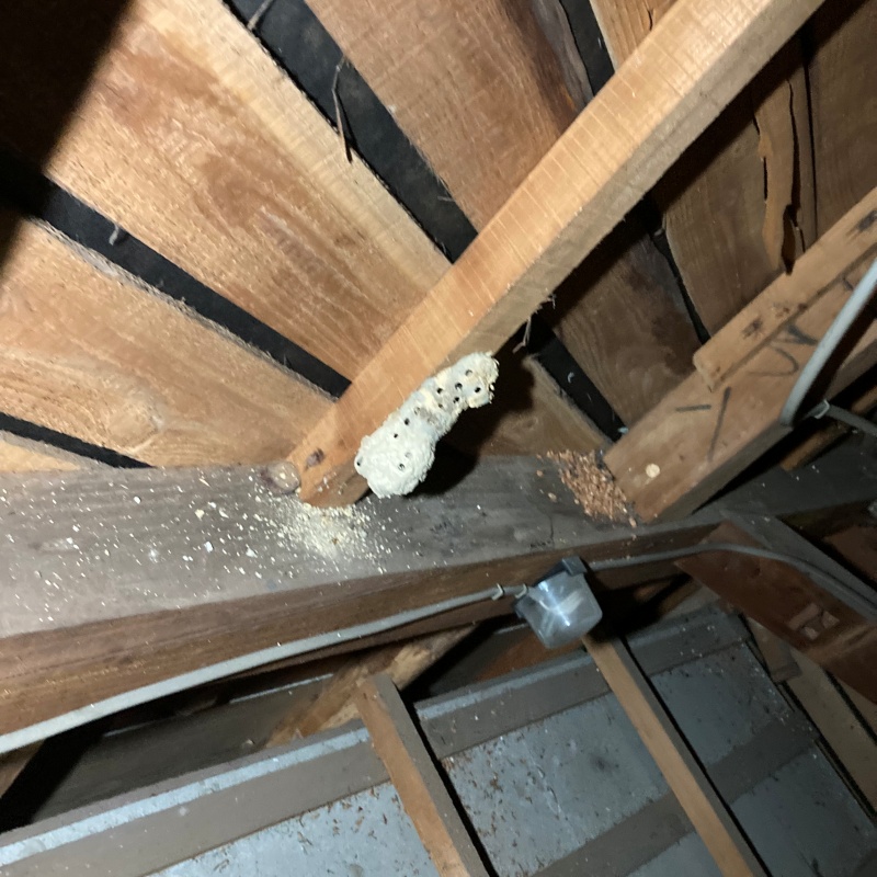 築年数47年のシロアリ駆除の施工事例（福岡県鞍手郡小竹町）