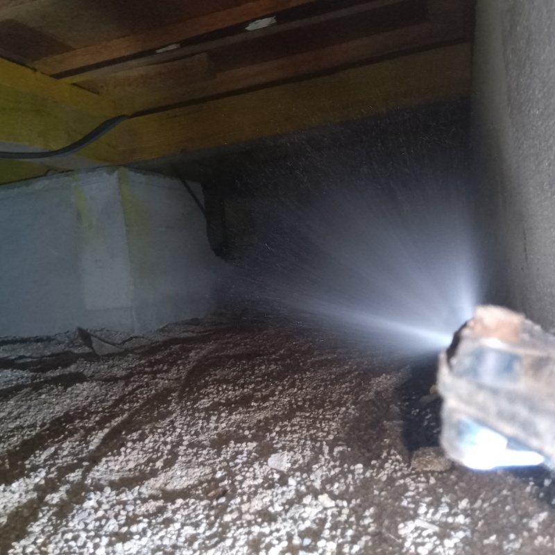 地面に防蟻剤を散布