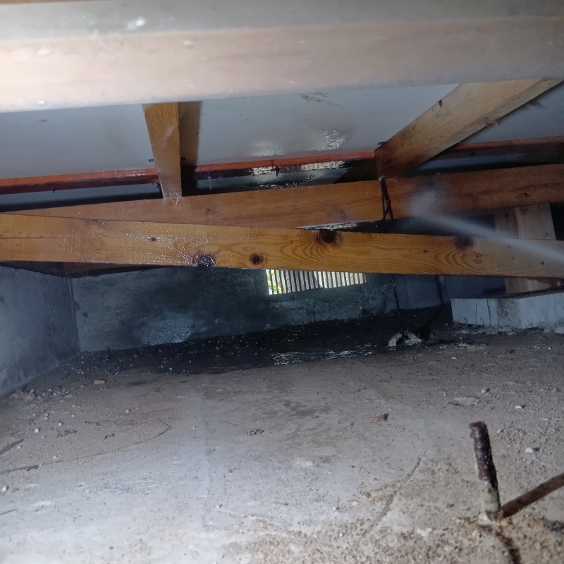 築年数38年のシロアリ駆除の施工事例（千葉県香取市玉造）
