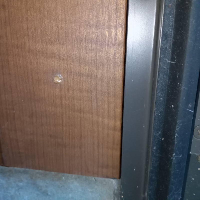 壁内部に直接防蟻剤を注入